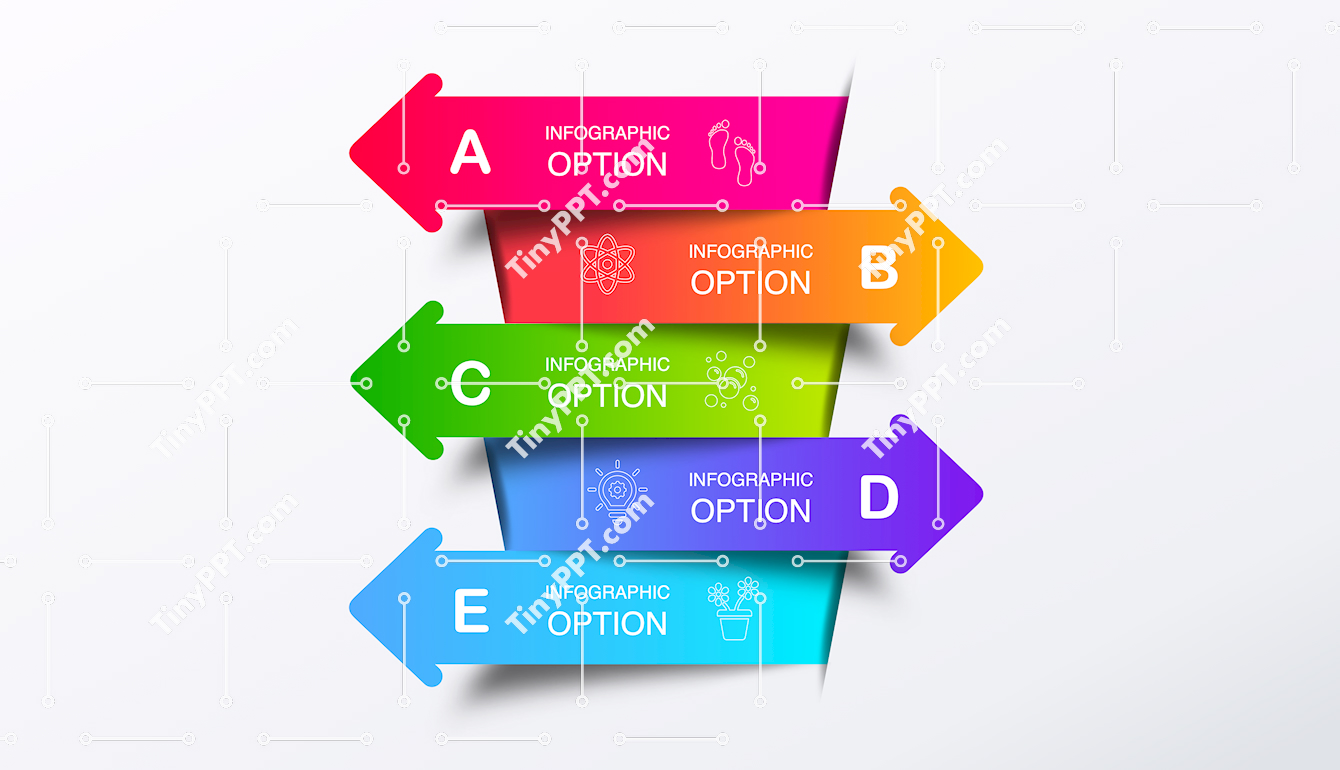Directional Options Infographic Slide