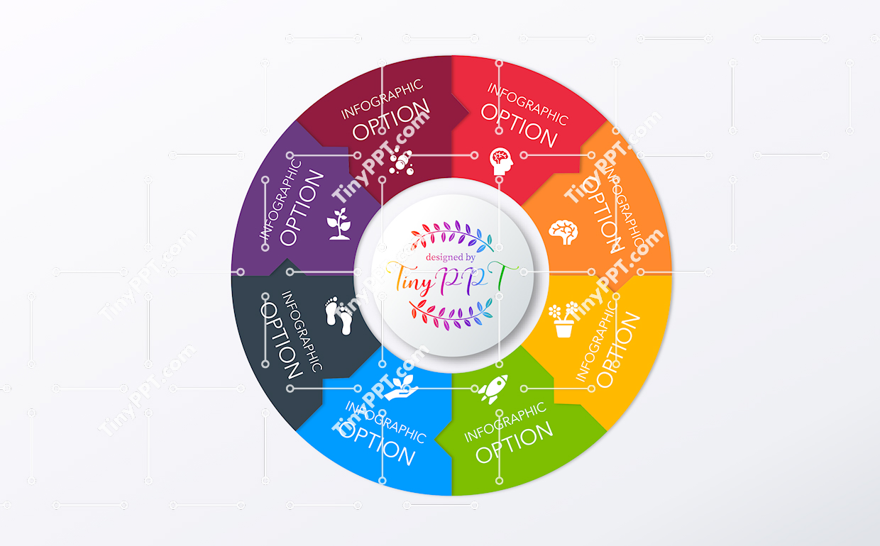 Circular Options Infographic Template