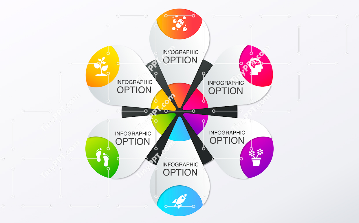 Petal Process Infographic PPT