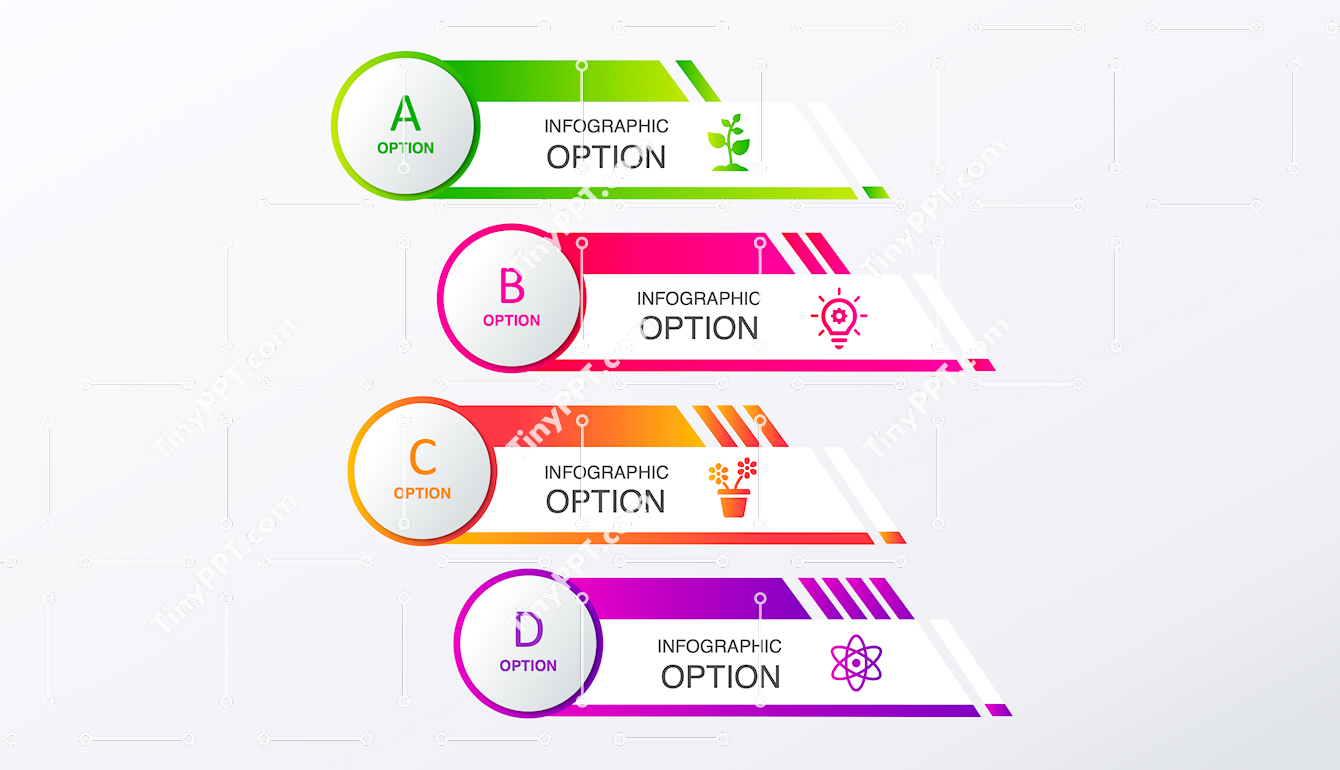 Process Options Infographic PPT