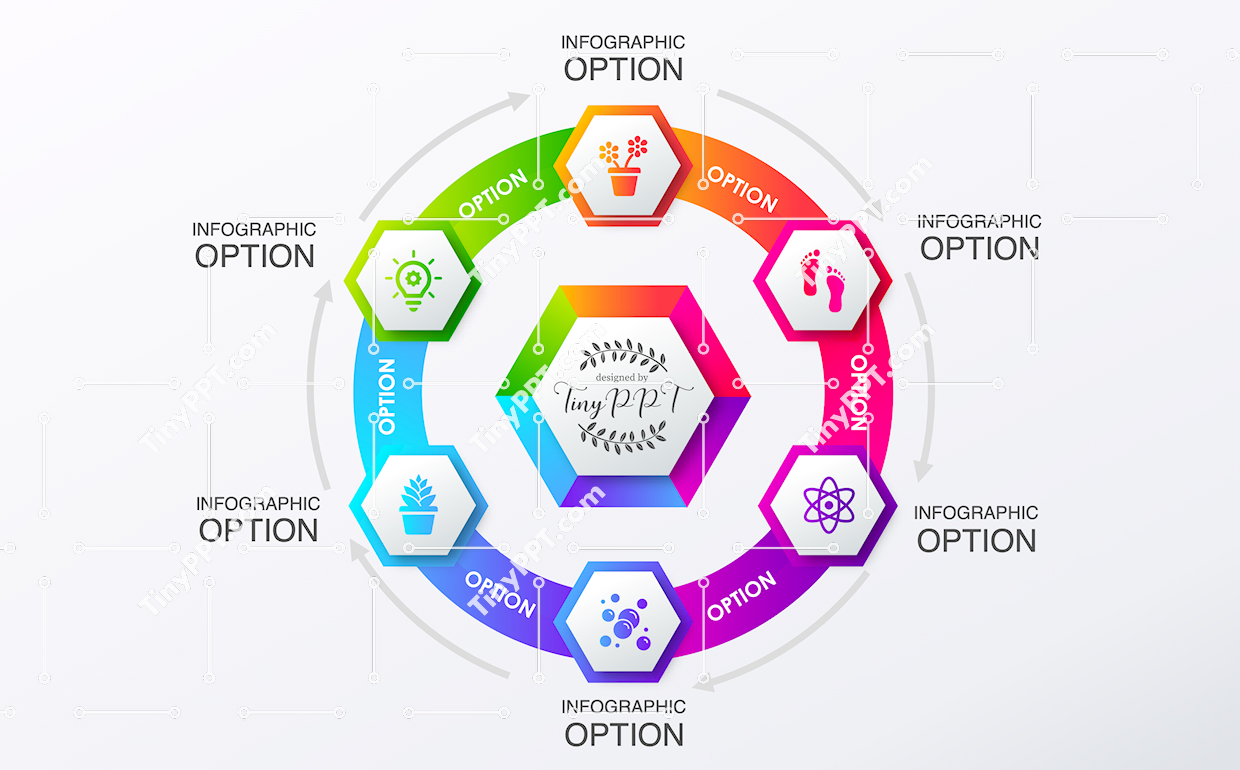 Hexagon Cycle Infographic Template PPT