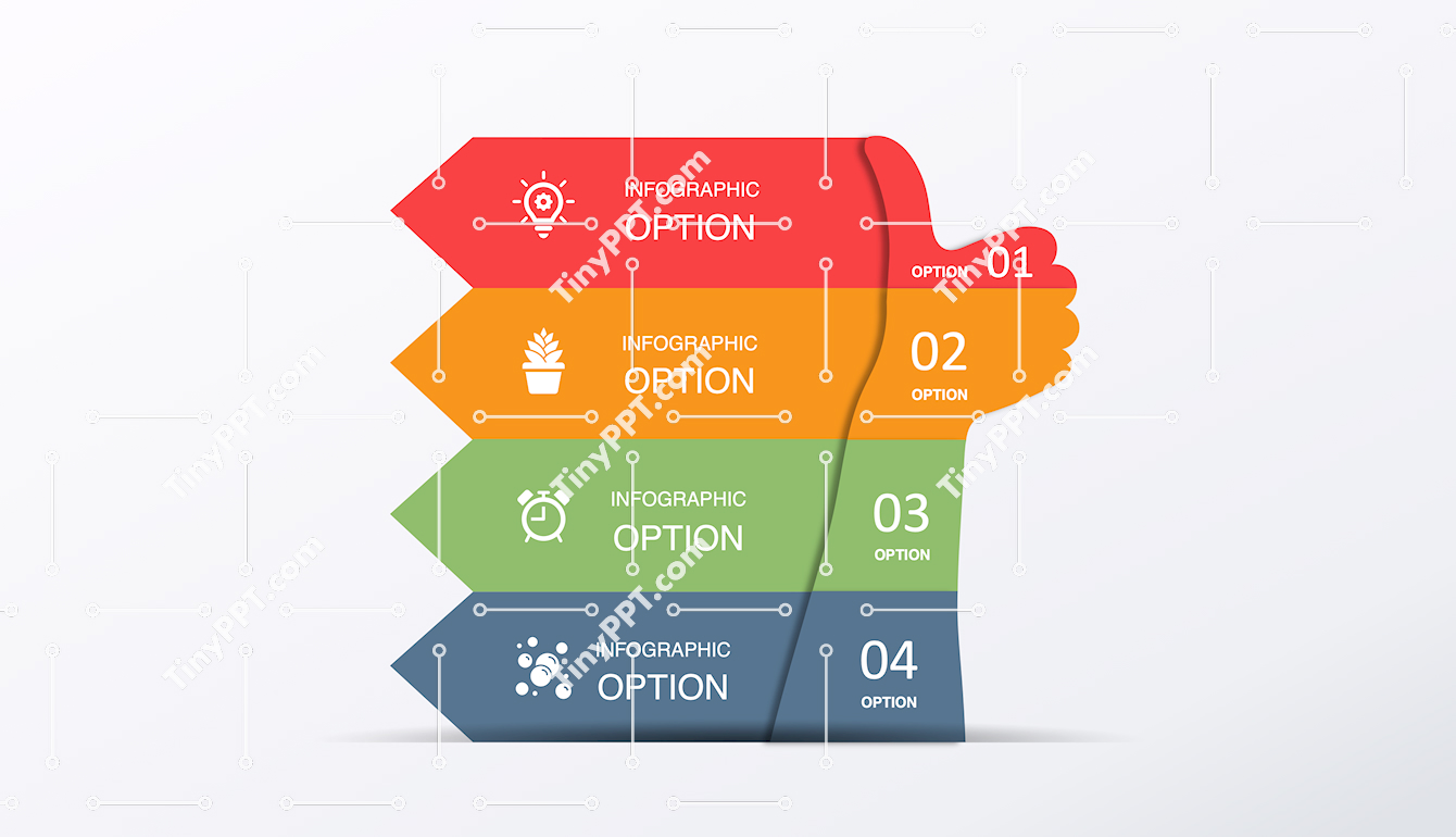 Comparison Options Infographic PPT