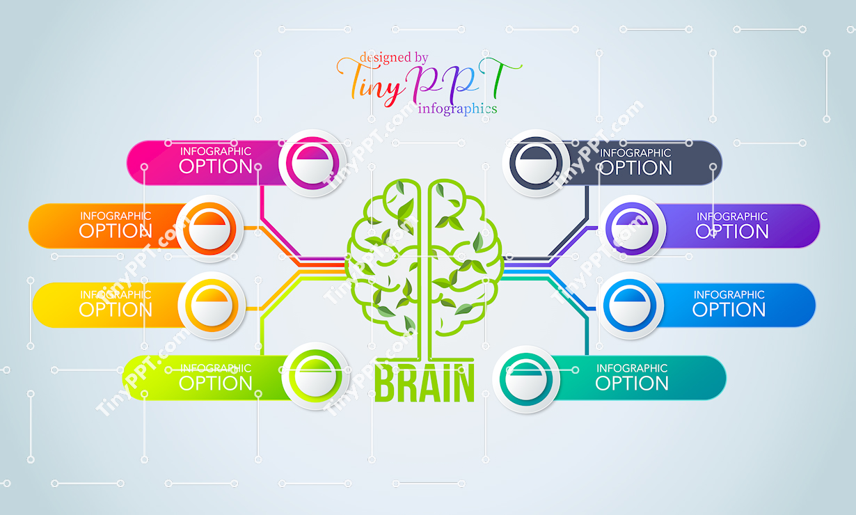 Brain Mapping Infographic PowerPoint