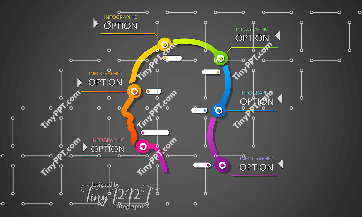 Human Head Diagram Infographic