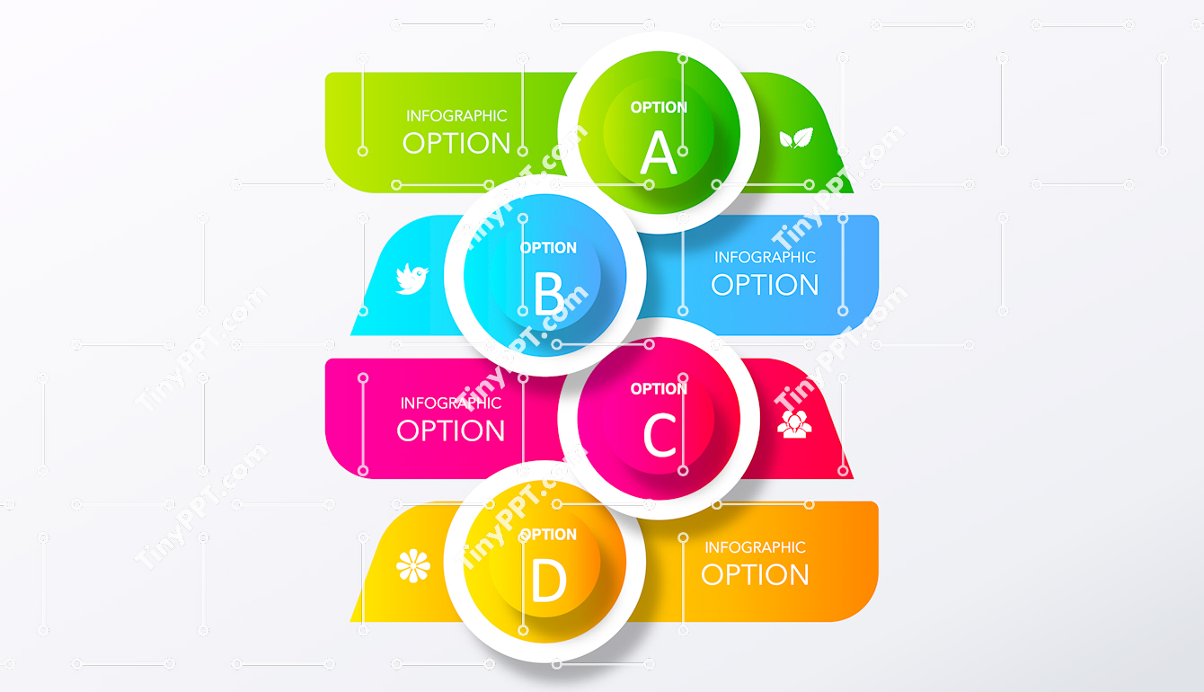 Process Options Infographic PPT