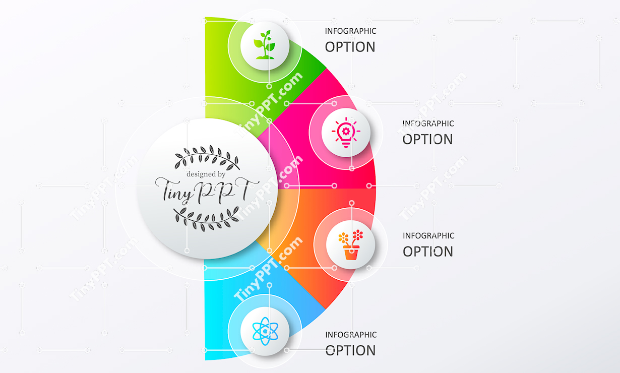 Circular Options Infographic PPT